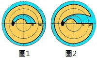 图中蓝色部份为青光眼病人看不清楚之视野范围